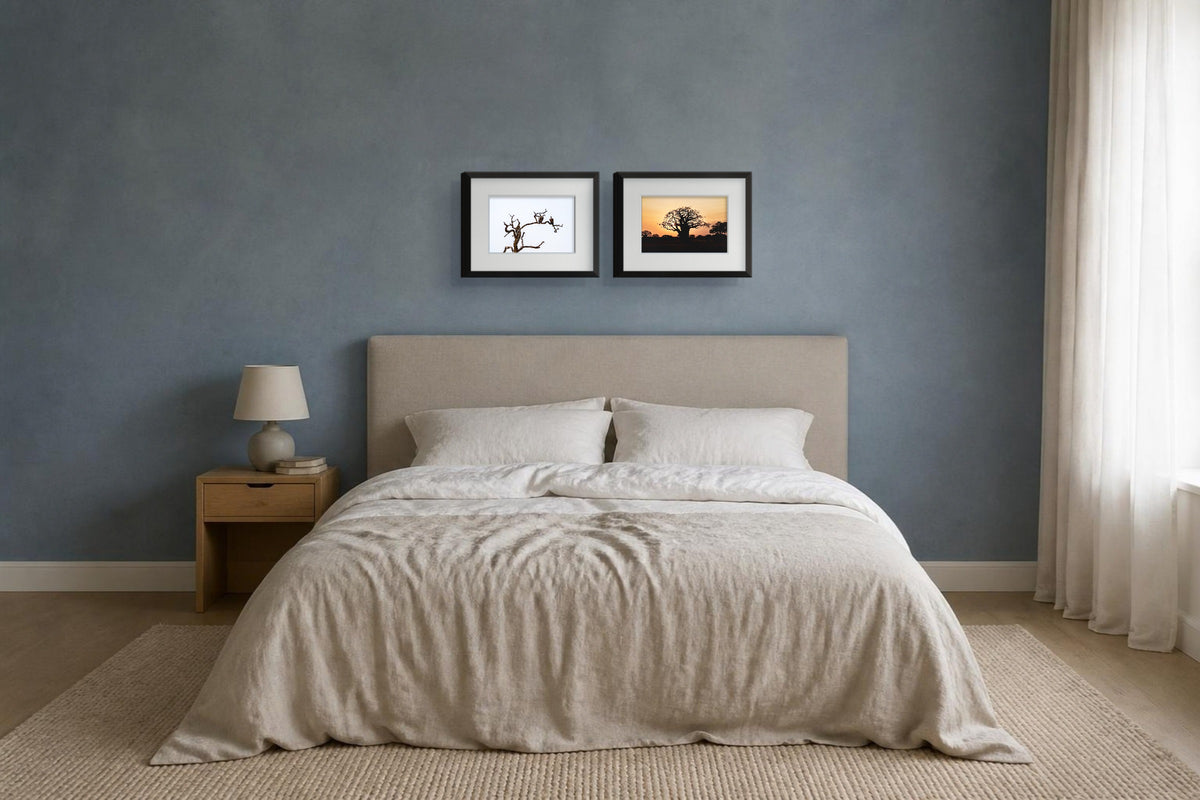 Wächter mit Baobab, Fine-Art-Fotografie, Raumansicht 2 × 30 × 20 cm im Schlafzimmer