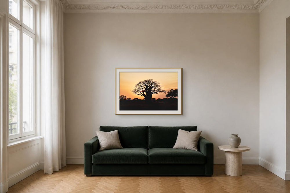 Baobab im Format 120 × 80 cm, Visualisierung