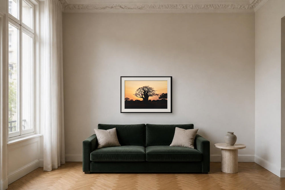 Baobab im Format 90 × 60 cm, Visualisierung