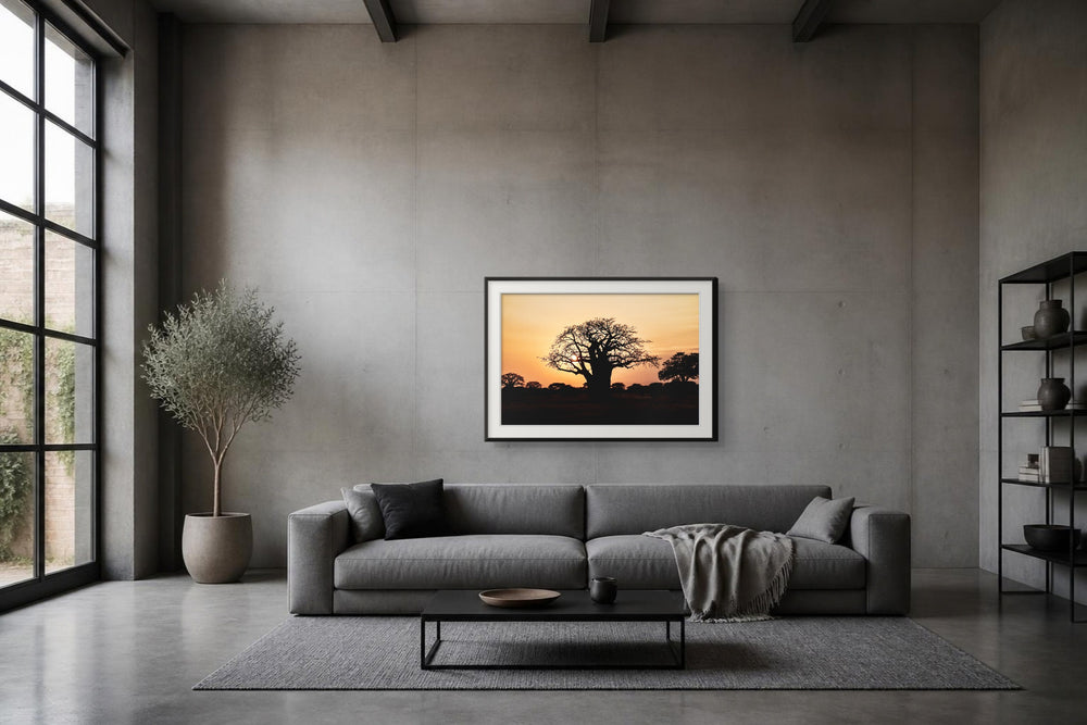 Baobab im Format 105 × 70 cm, Visualisierung