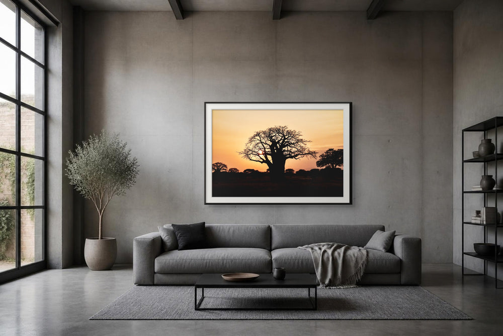 Baobab im Format 150 × 100 cm, Visualisierung