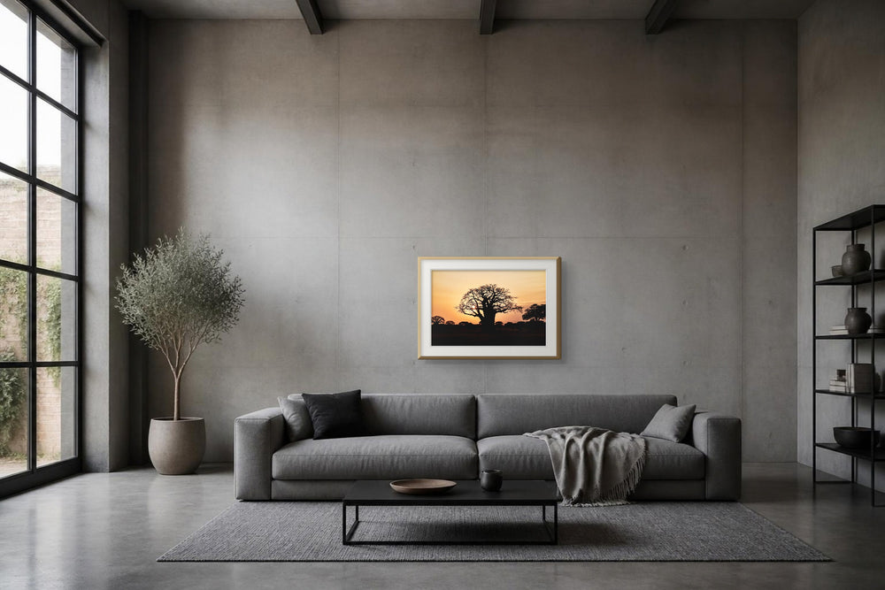 Baobab im Format 75 × 50 cm, Visualisierung