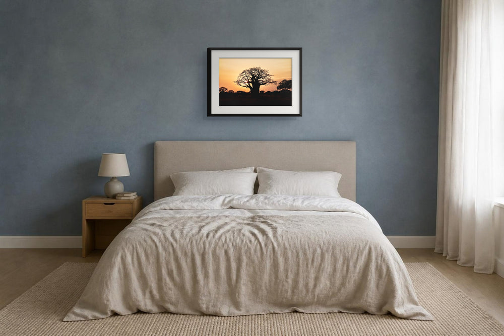 Baobab im Format 60 × 40 cm, Visualisierung