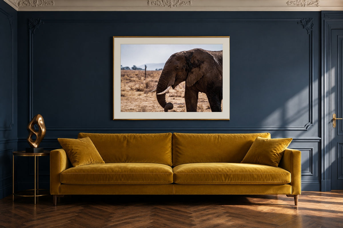 Gigant als Fine Art Print 120 × 80 cm, Raumansicht Altbau. Visualisierung, Rahmen und Passepartout nicht im Lieferumfang.