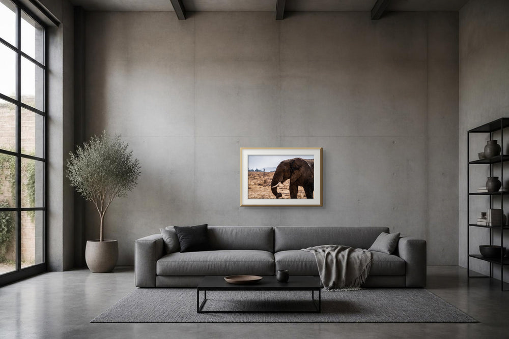 Gigant im Format 75 × 50 cm, Visualisierung